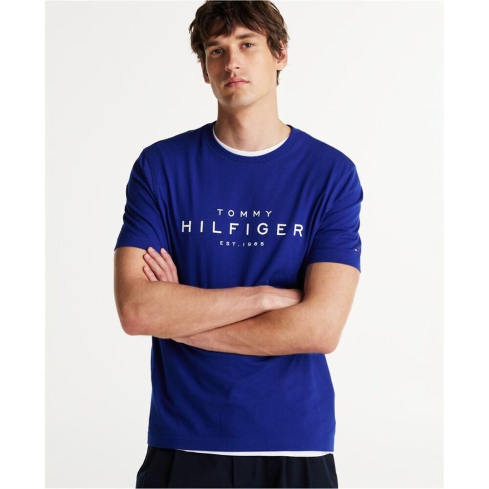 Tommy Hilfiger Mens Crew Neck Graphic T-Shirt, NWT